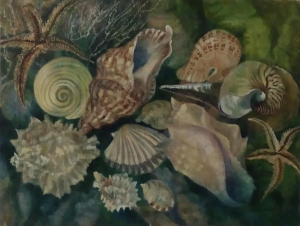 Appuntamento sul fondale